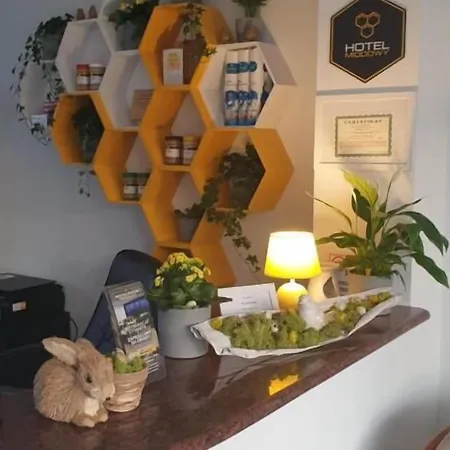 게스트하우스 Miodowy Dzierżoniów