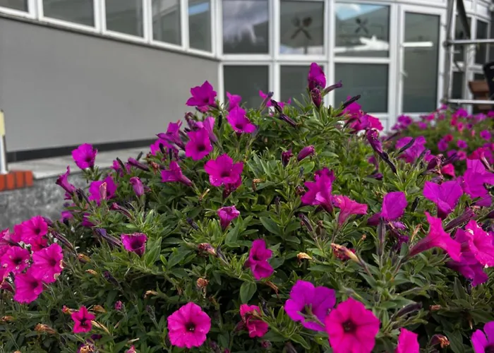 Miodowy Guest house 3*