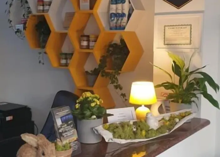 Guest house Miodowy Dzierzoniow