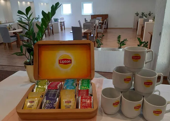 Miodowy Guest house 3*